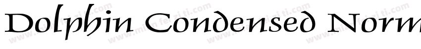 Dolphin Condensed Normal字体转换